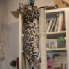 050416_sans titre_040-36